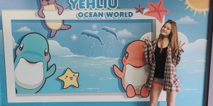 <?php the_title(); ?>