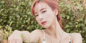 <?php the_title(); ?>