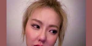 <?php the_title(); ?>