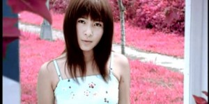 <?php the_title(); ?>