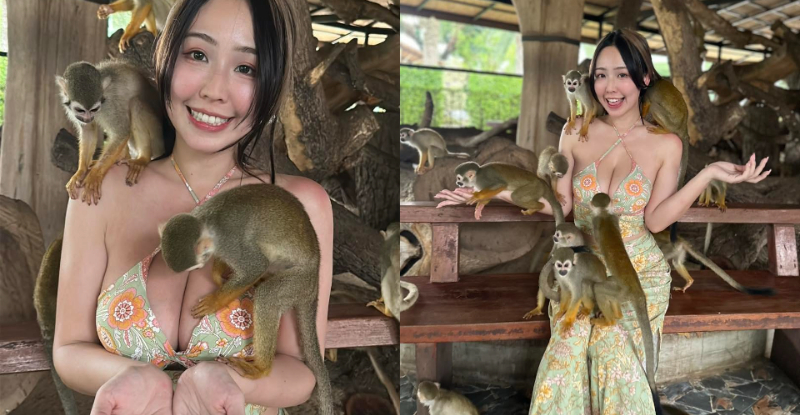 一群幸福的猴子！「希希」造訪美功鐵道，「挺出傲乳」差點撞火車！